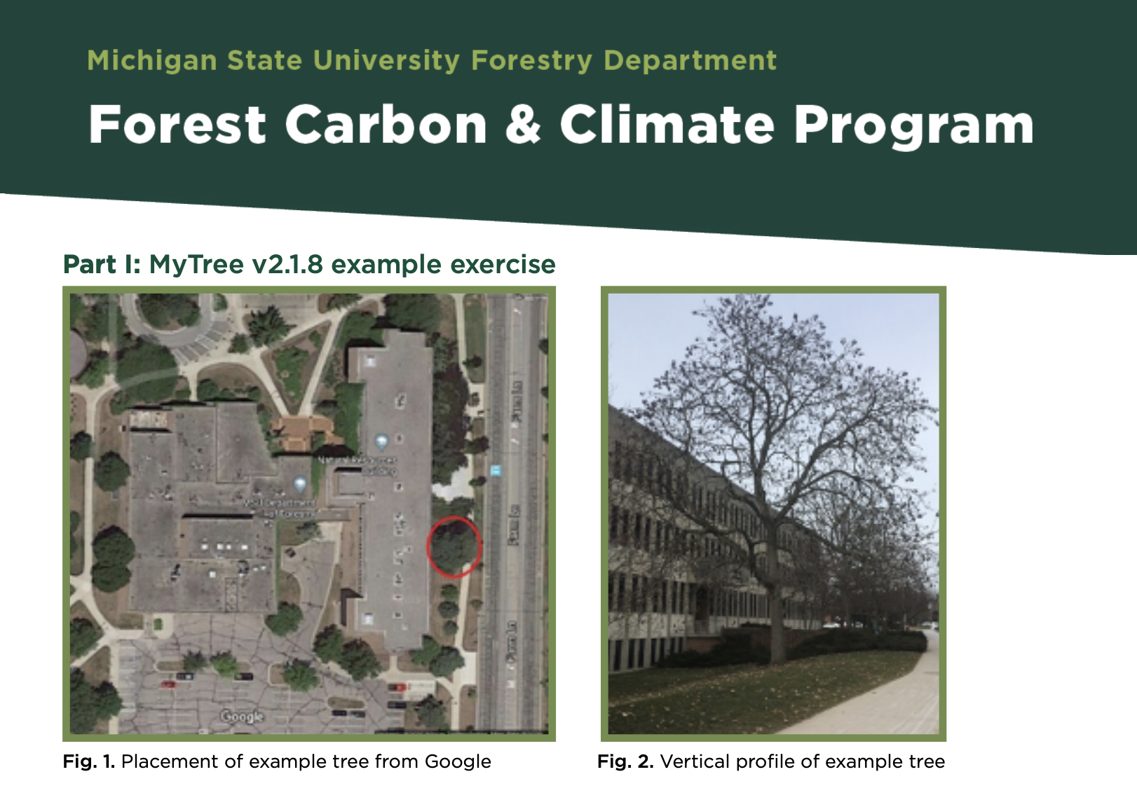 Image with two figures; Fig. 1 shows an aerial view of the placement of a tree. Fig. 2 shows the vertical profile of that tree.